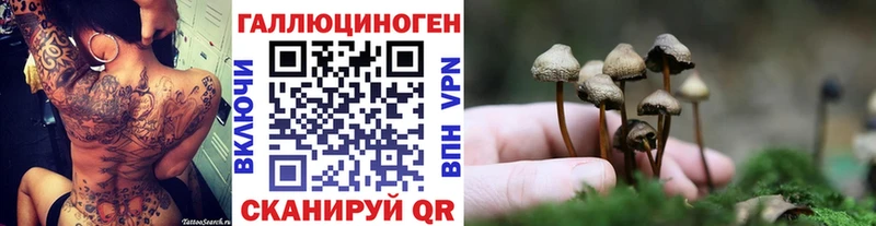 Купить где  Горняк  Псилоцибиновые грибы ЛСД 